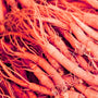 Ginseng Rouge